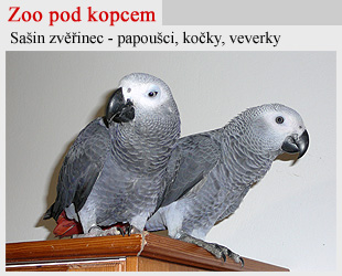 Papoušci rodiny Lerlů